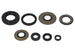 Set garnituri pentru motor WINDEROSA 822155 