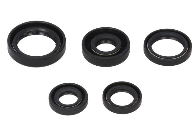 Set garnituri pentru motor WINDEROSA 822168 