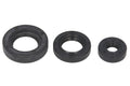 Set garnituri pentru motor WINDEROSA 822199 