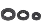 Set garnituri pentru motor WINDEROSA 822199 