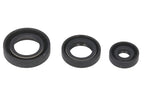 Set garnituri pentru motor WINDEROSA 822199 