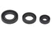 Set garnituri pentru motor WINDEROSA 822199 
