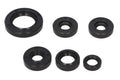 Set garnituri pentru motor WINDEROSA 822203 