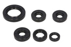 Set garnituri pentru motor WINDEROSA 822203 