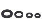 Set garnituri pentru motor WINDEROSA 822211 