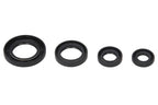 Set garnituri pentru motor WINDEROSA 822211 