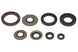 Set garnituri pentru motor WINDEROSA 822218 