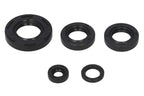 Set garnituri pentru motor WINDEROSA 822230 