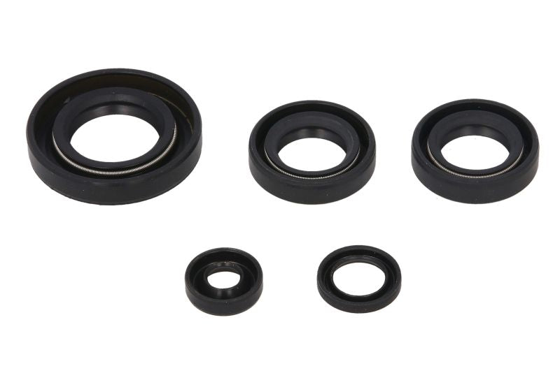 Set garnituri pentru motor WINDEROSA 822230 