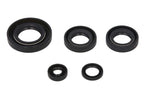 Set garnituri pentru motor WINDEROSA 822230 