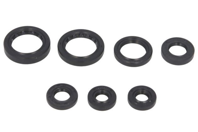 Set garnituri pentru motor WINDEROSA 822236 