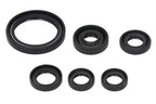 Set garnituri pentru motor WINDEROSA 822238 