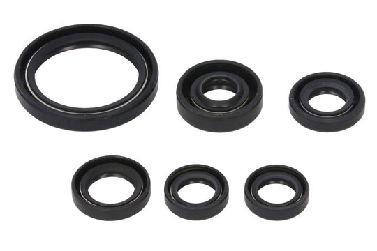 Set garnituri pentru motor WINDEROSA 822238 