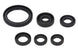 Set garnituri pentru motor WINDEROSA 822238 