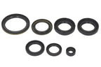 Set garnituri pentru motor WINDEROSA 822239 
