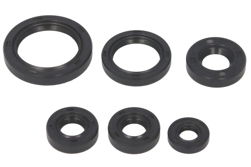 Set garnituri pentru motor WINDEROSA 822241 