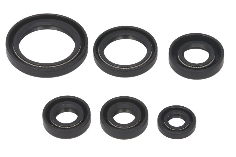 Set garnituri pentru motor WINDEROSA 822241 