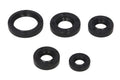 Set garnituri pentru motor WINDEROSA 822242 