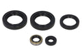 Set garnituri pentru motor WINDEROSA 822244 