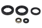 Set garnituri pentru motor WINDEROSA 822244 