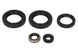Set garnituri pentru motor WINDEROSA 822244 