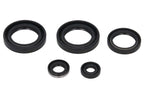 Set garnituri pentru motor WINDEROSA 822244 