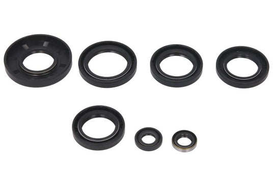 Set garnituri pentru motor WINDEROSA 822251 
