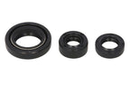 Set garnituri pentru motor WINDEROSA 822254 