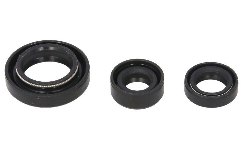 Set garnituri pentru motor WINDEROSA 822254 