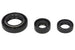 Set garnituri pentru motor WINDEROSA 822254 