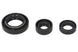 Set garnituri pentru motor WINDEROSA 822254 