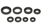 Set garnituri pentru motor WINDEROSA 822255 