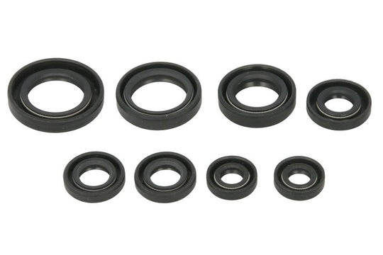 Set garnituri pentru motor WINDEROSA 822255 