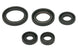Set garnituri pentru motor WINDEROSA 822263 