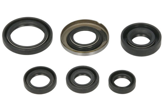 Set garnituri pentru motor WINDEROSA 822278 