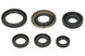 Set garnituri pentru motor WINDEROSA 822278 