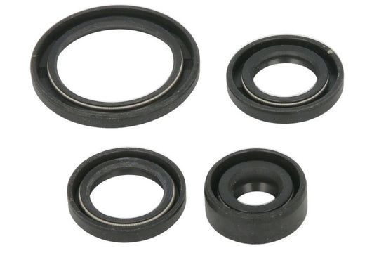 Set garnituri pentru motor WINDEROSA 822314 