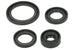 Set garnituri pentru motor WINDEROSA 822314 