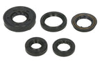 Set garnituri pentru motor WINDEROSA 822322 