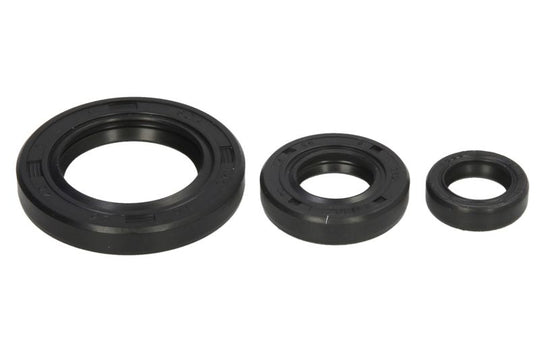 Set garnituri pentru motor WINDEROSA 822339 