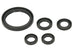 Set garnituri pentru motor WINDEROSA 822350 