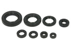 Set garnituri pentru motor WINDEROSA 822351 