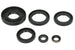 Set garnituri pentru motor WINDEROSA 822366 