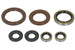 Set garnituri pentru motor WINDEROSA 822372 