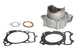 Cilindru motor EC485-049 ATHENA