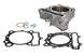 Cilindru motor EC250-020 ATHENA