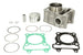 Cilindru motor RMS 10 008 0730 RMS