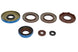 Set garnituri pentru motor WINDEROSA 822375 