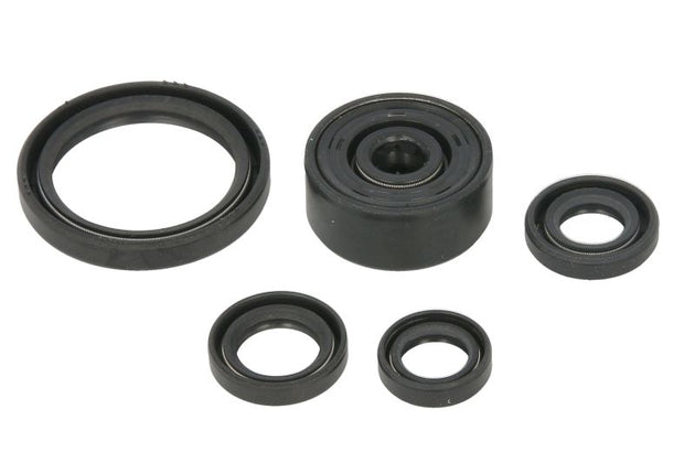 Set garnituri pentru motor WINDEROSA 822377 