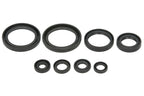 Set garnituri pentru motor WINDEROSA 822378 